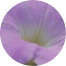 Jodi Kaye Avatar